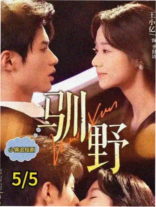 影视1000 站内更新配图：教程进度条